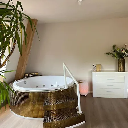 Luxury Private With Golden Bath, Cinema And Sauna