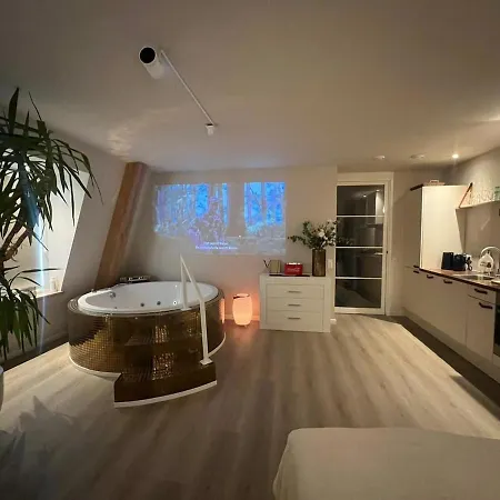 Appartamento Luxury Private With Golden Bath, Cinema And Sauna Bodegraven