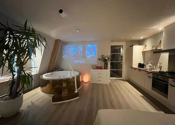 Appartement Luxury Private With Golden Bath, Cinema And Sauna Bodegraven